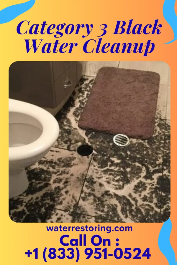 Category 3 Black Water Cleanup in Lewistown, PA