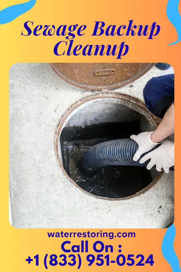 Sewage Backup Cleanup in Lewistown, PA